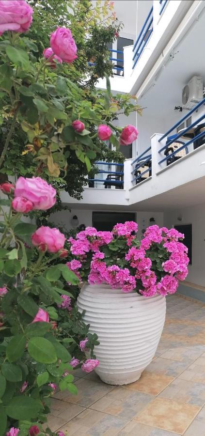 Hotel Akrogiali Skala (Agistri)