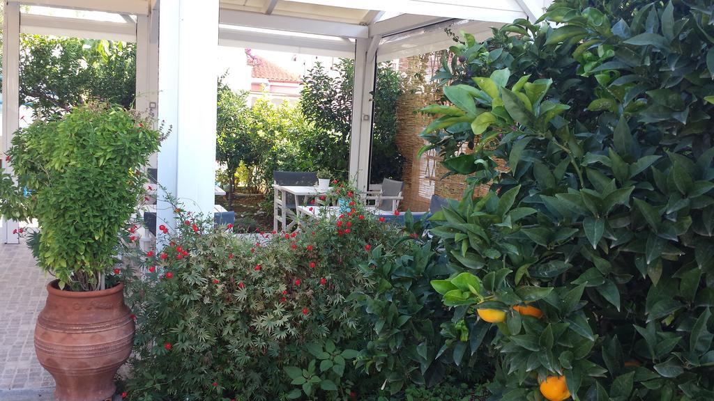 Akrogiali 2* Skala (Agistri)